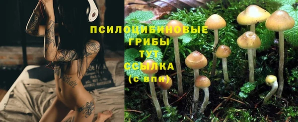 spice Козельск