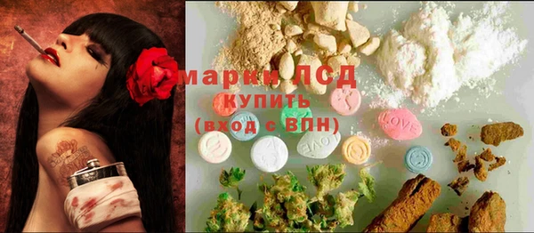 spice Козельск